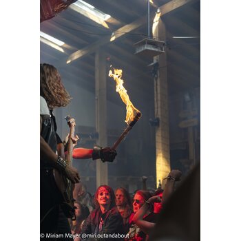 gallery preview element #6