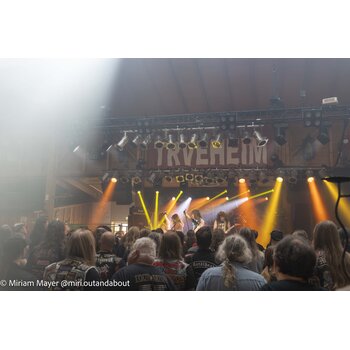 gallery preview element #24