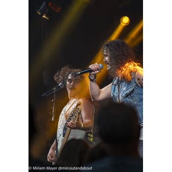 gallery preview element #8