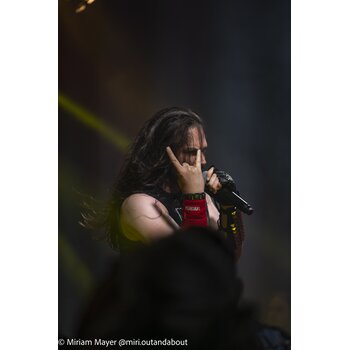 gallery preview element #8