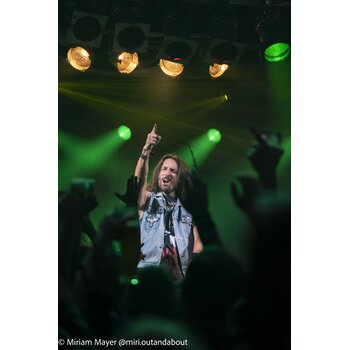 gallery preview element #21