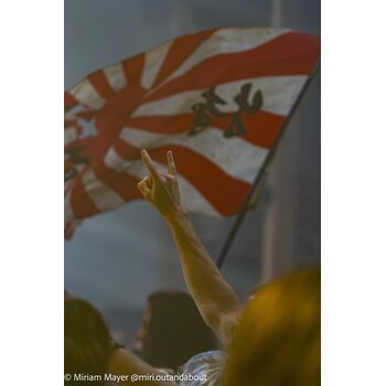 gallery preview element #13