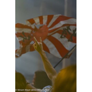 gallery preview element #14