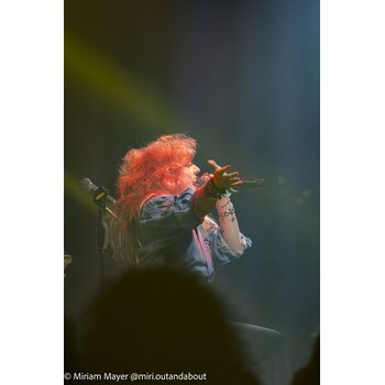gallery preview element #6