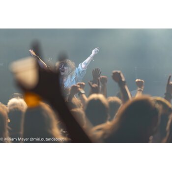 gallery preview element #11